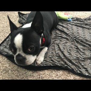 Meet your Posher, Kipling